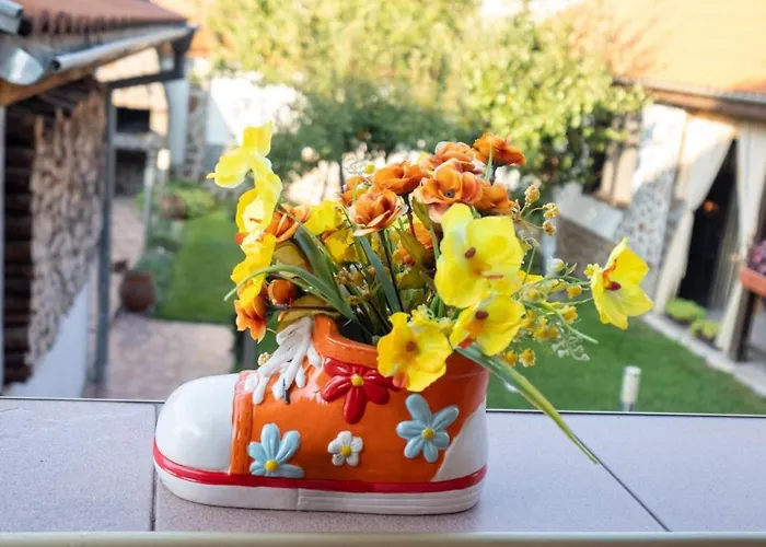 招待所 бумеранг 韦林格勒