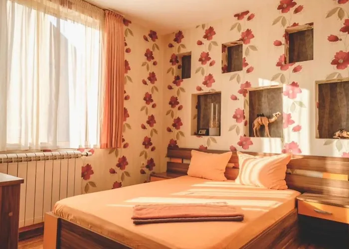 бумеранг Affittacamere